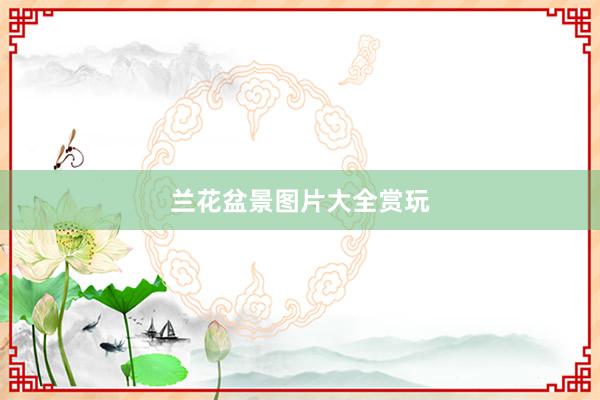 兰花盆景图片大全赏玩